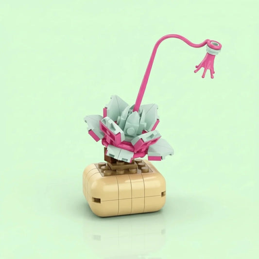Echeveria lilacina Building Block (1Pc)