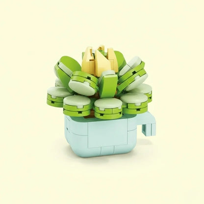 Echeveria Galuca Building Block Toy Plant(1pc)