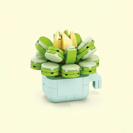 Echeveria Galuca Building Block Toy Plant(1pc)