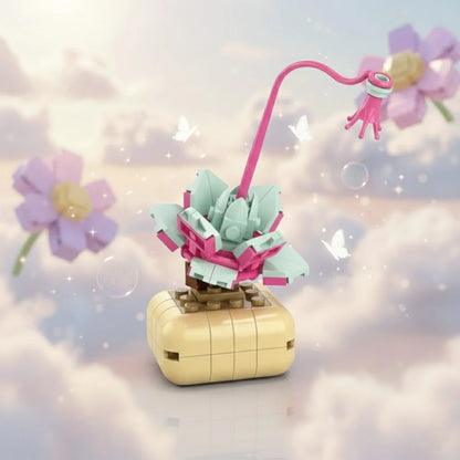 Echeveria lilacina Building Block (1Pc)